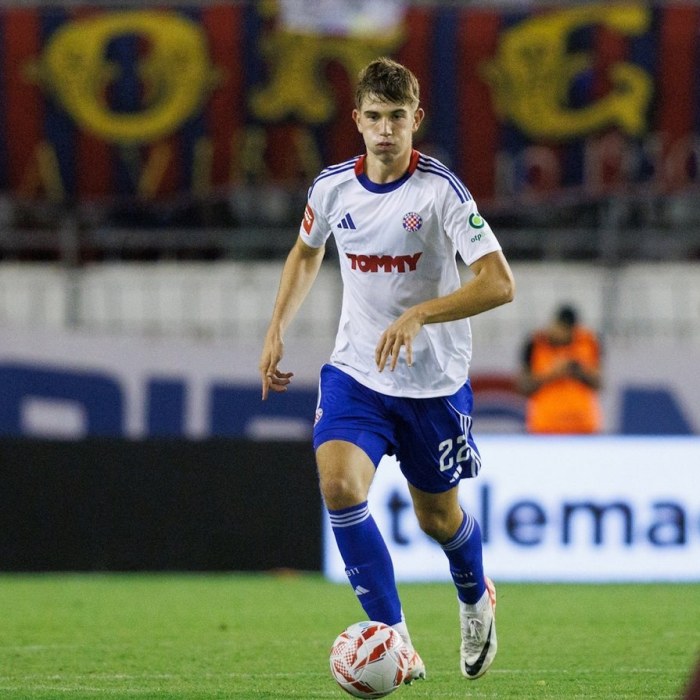 Branimir Mlacic